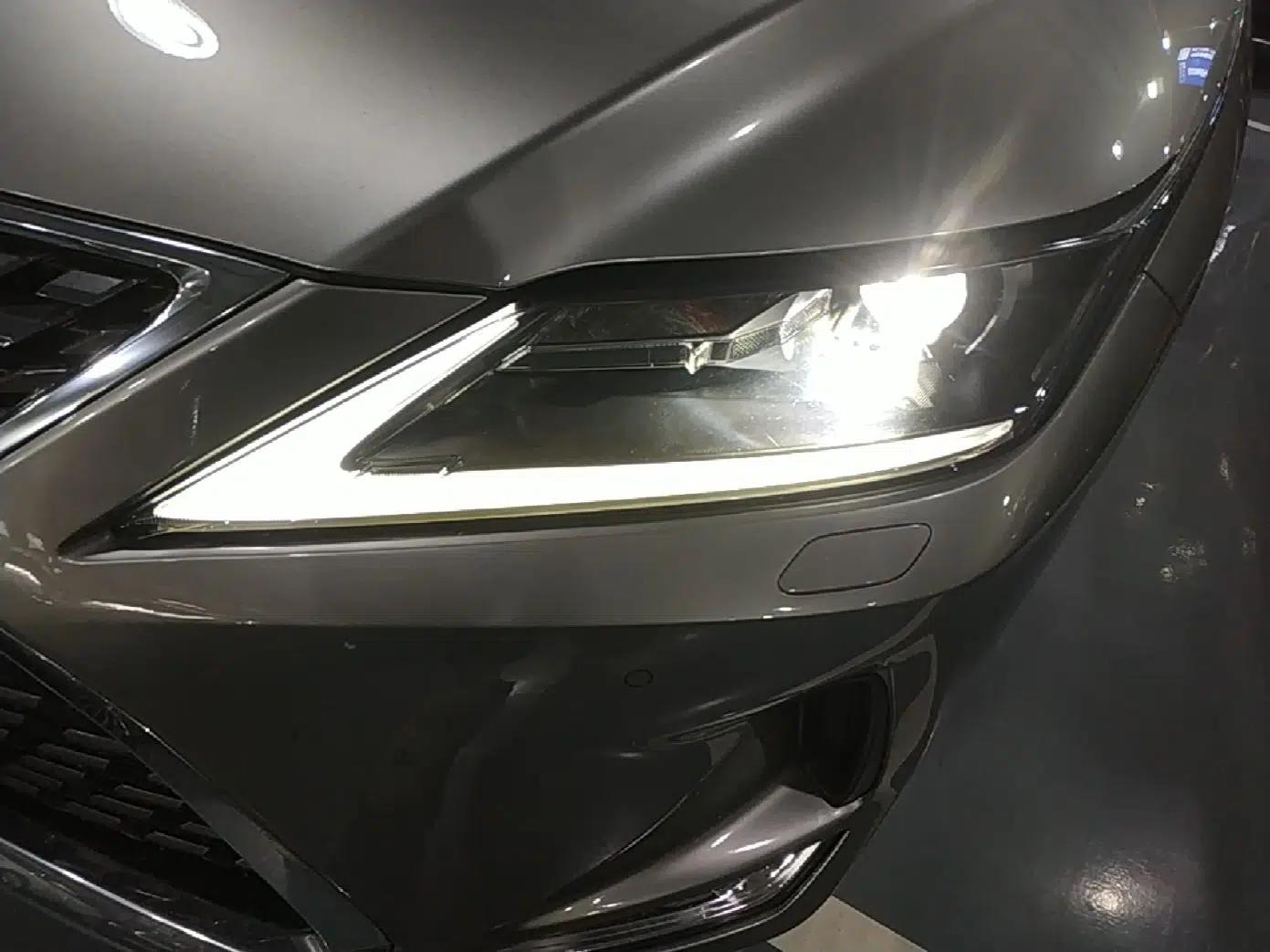 Lexus RX 2020 Revised Version 300 Two-Wheel Drive Elite Edition — миниатюра 8