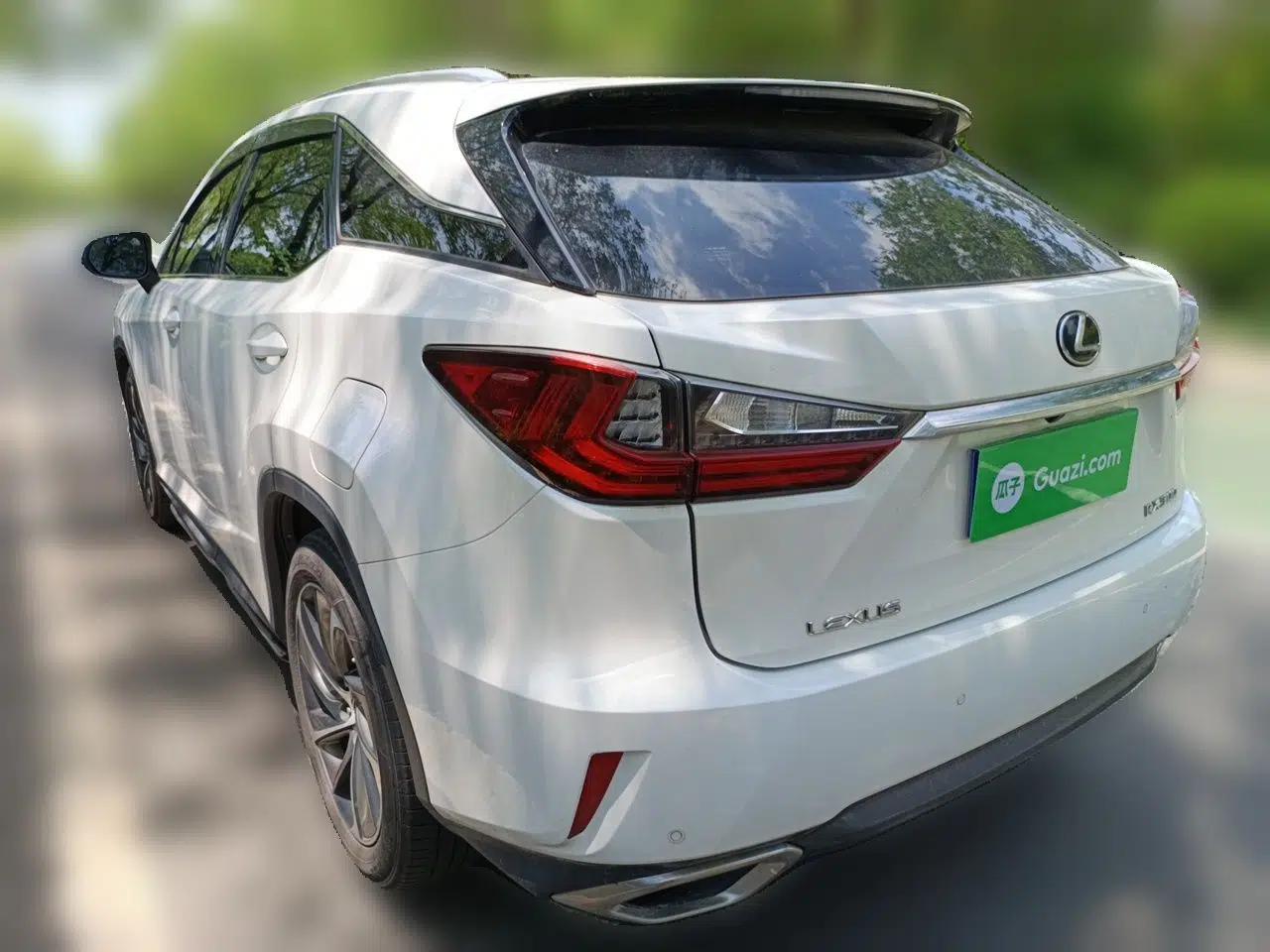 Lexus RX 2016 300 4x4 Elegant Edition China VI — миниатюра 4