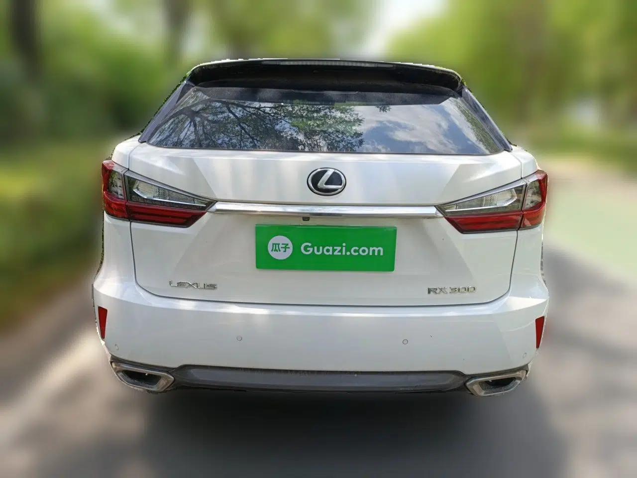 Lexus RX 2016 300 4x4 Elegant Edition China VI — миниатюра 5