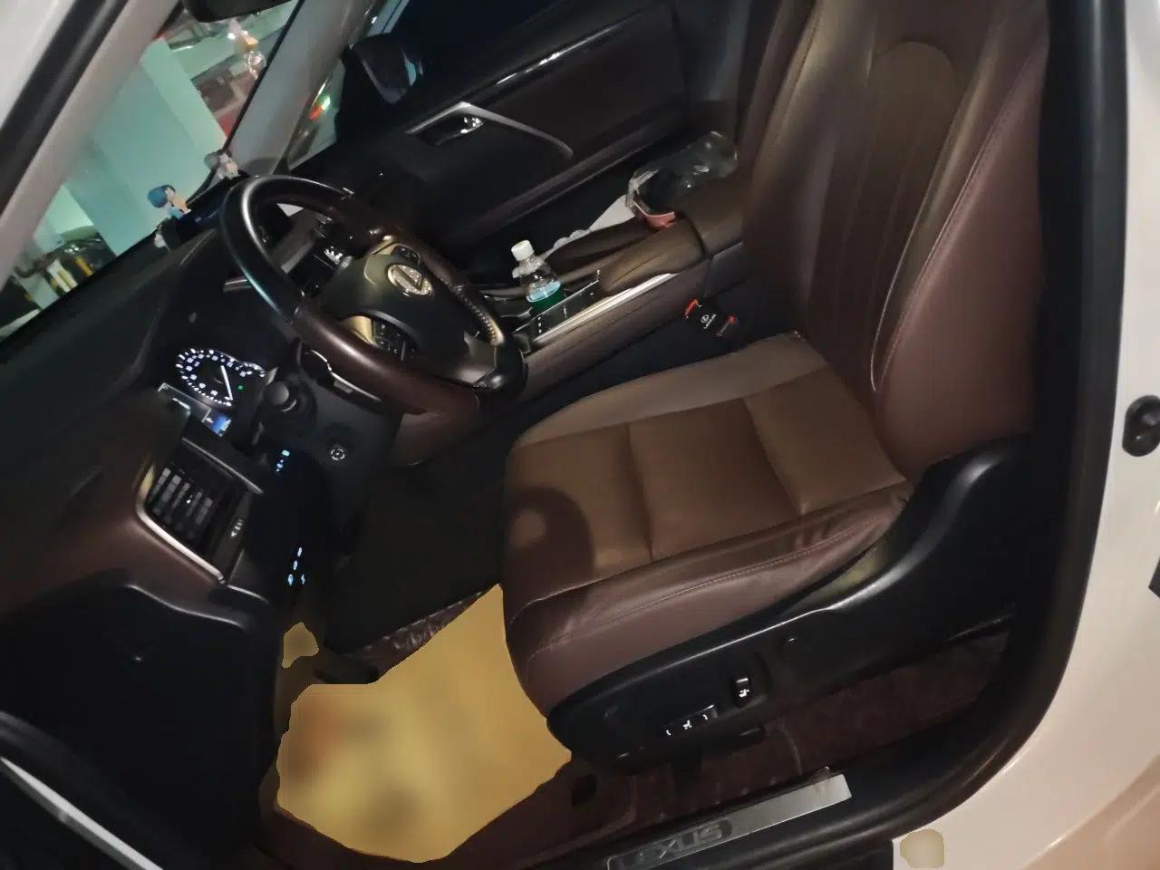 Lexus RX 2020 Facelifted 300 4x4 Elegant Edition — миниатюра 15