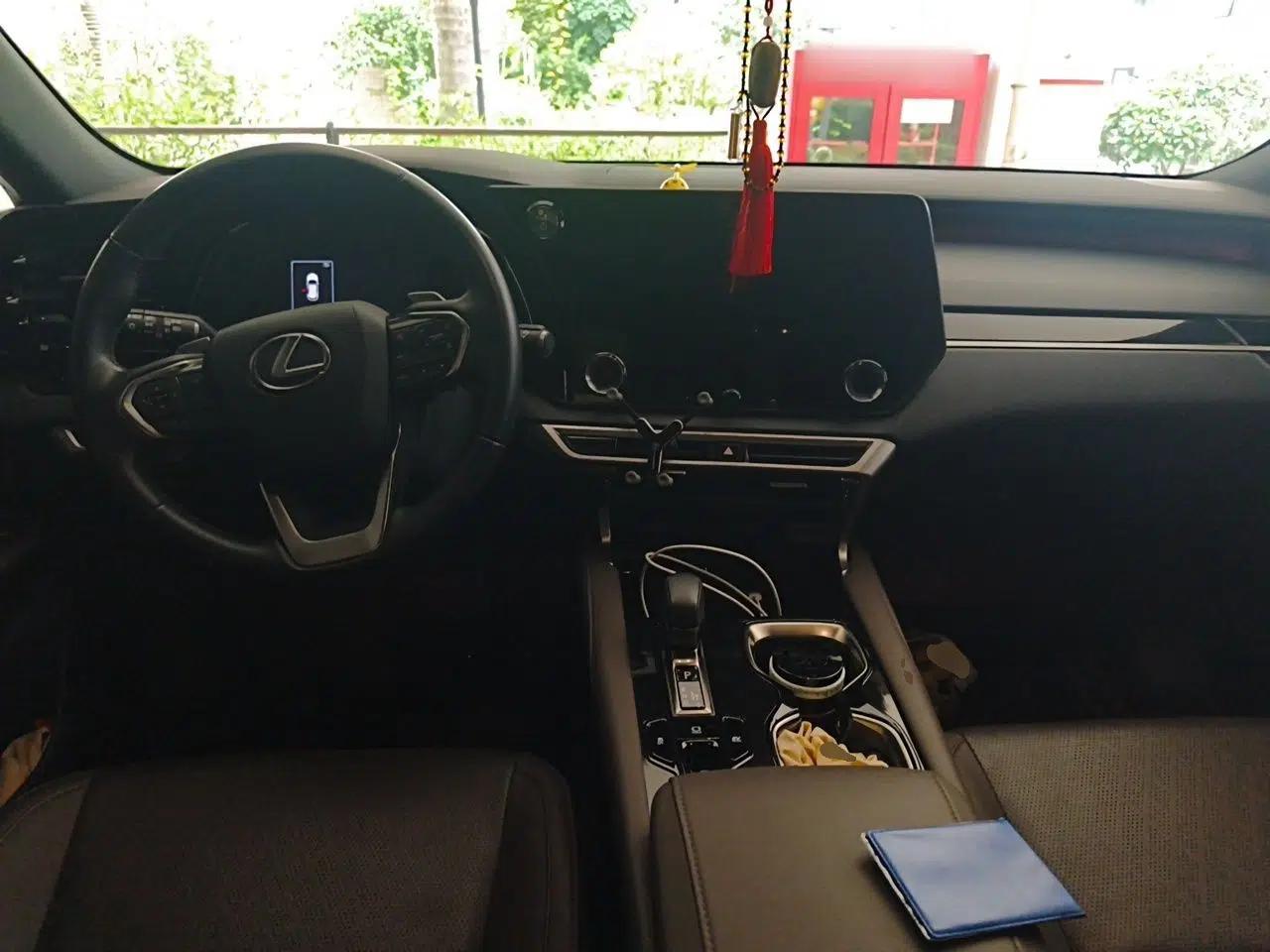 Lexus RX 2023 350h Two-Wheel Drive Comfort Edition — миниатюра 9