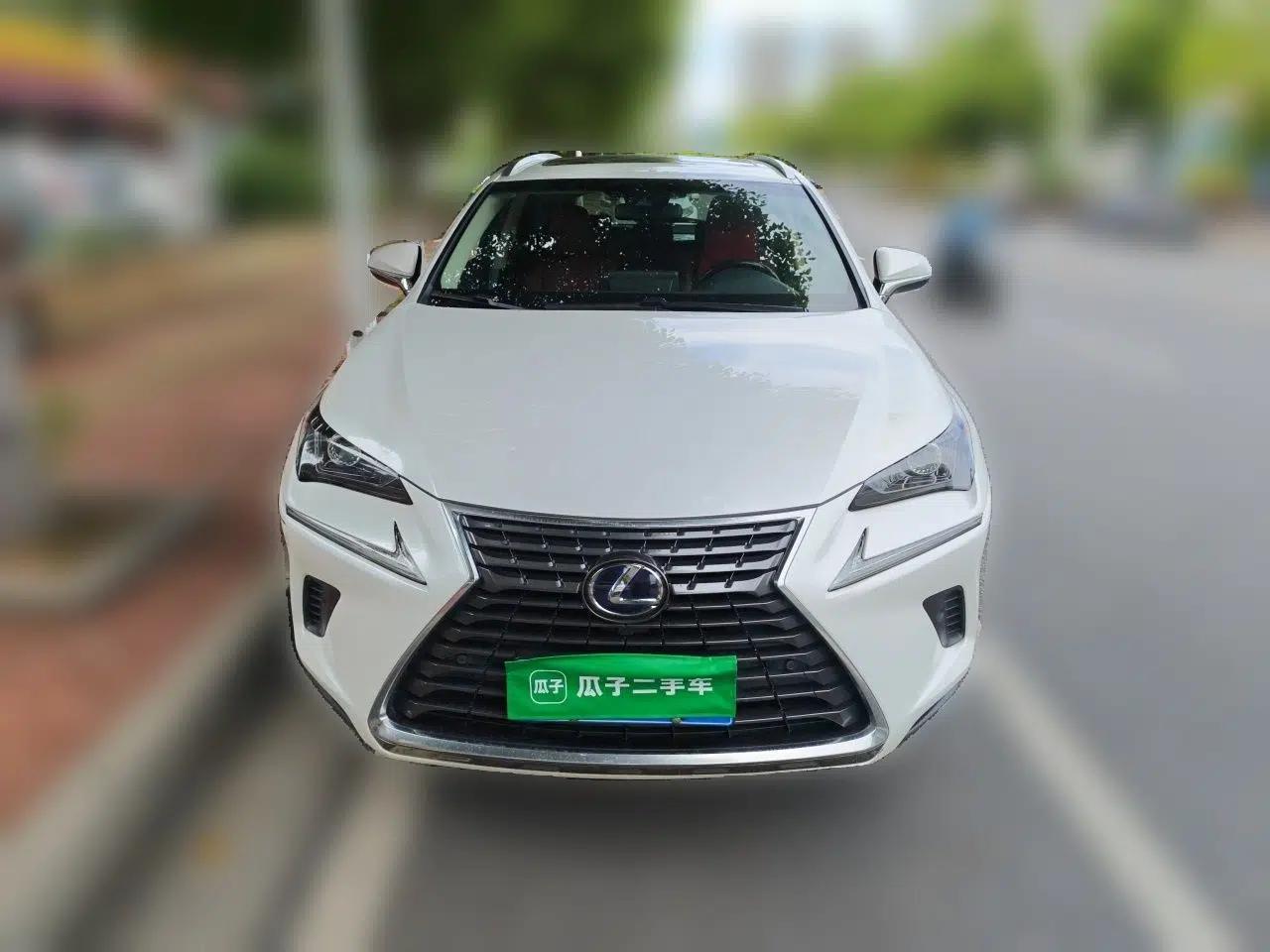 Lexus NX 2017 300h Front-Drive FENGSHANG Edition — миниатюра 2