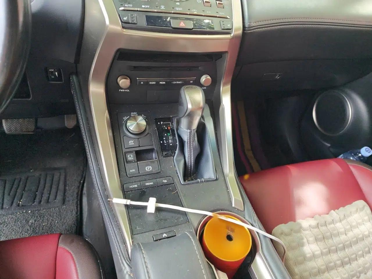 Lexus NX 2017 300h Front-Drive FENGSHANG Edition — миниатюра 13