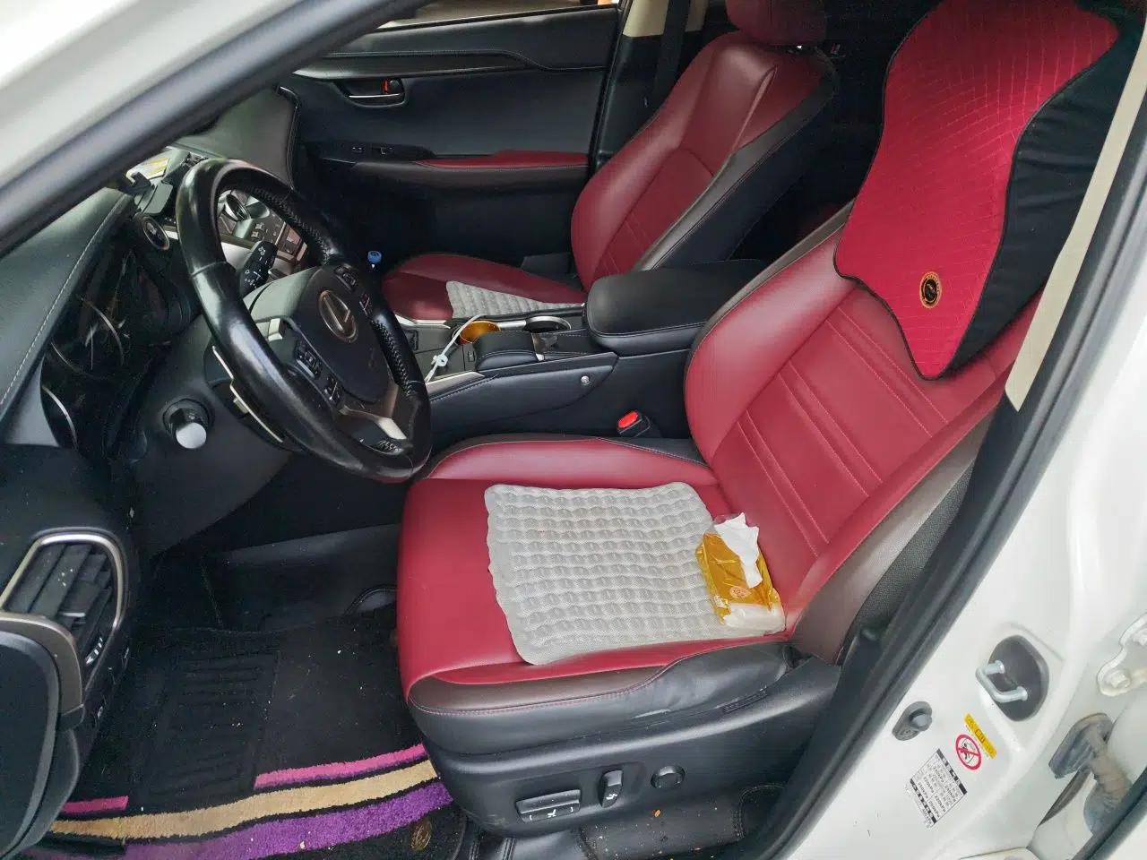 Lexus NX 2017 300h Front-Drive FENGSHANG Edition — миниатюра 14