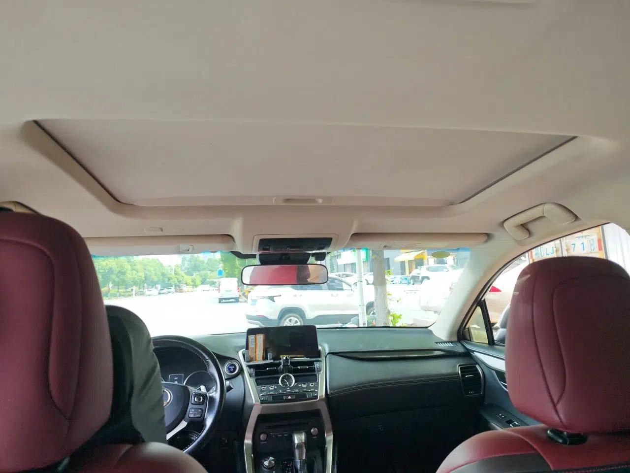 Lexus NX 2017 300h Front-Drive FENGSHANG Edition — миниатюра 15