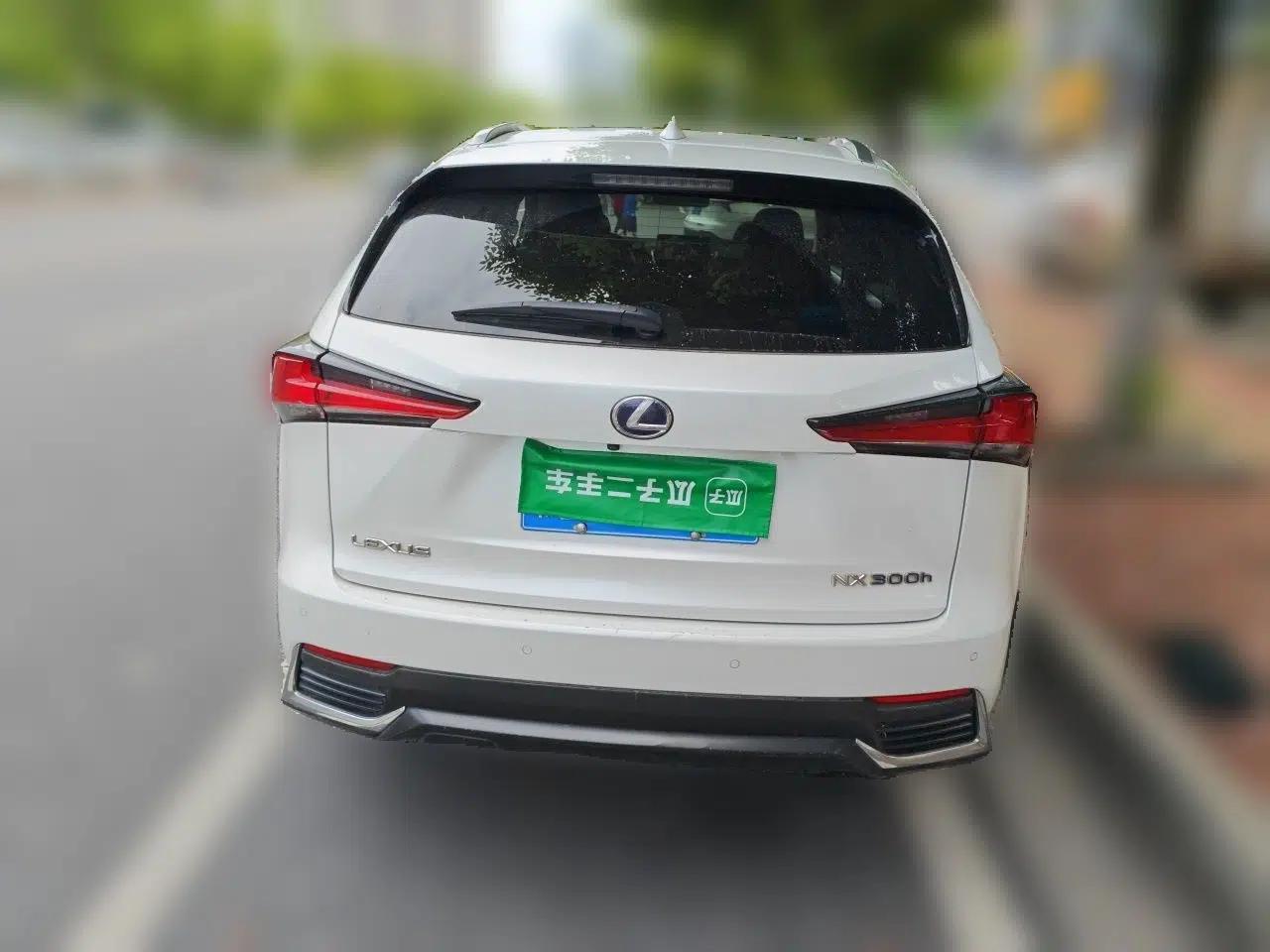 Lexus NX 2017 300h Front-Drive FENGSHANG Edition — миниатюра 5