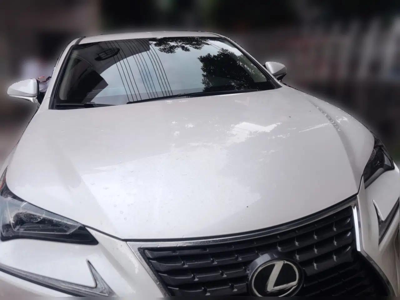 Lexus NX 2020 200 Front-Wheel Drive Vmotion Edition China VI Standard — миниатюра 2