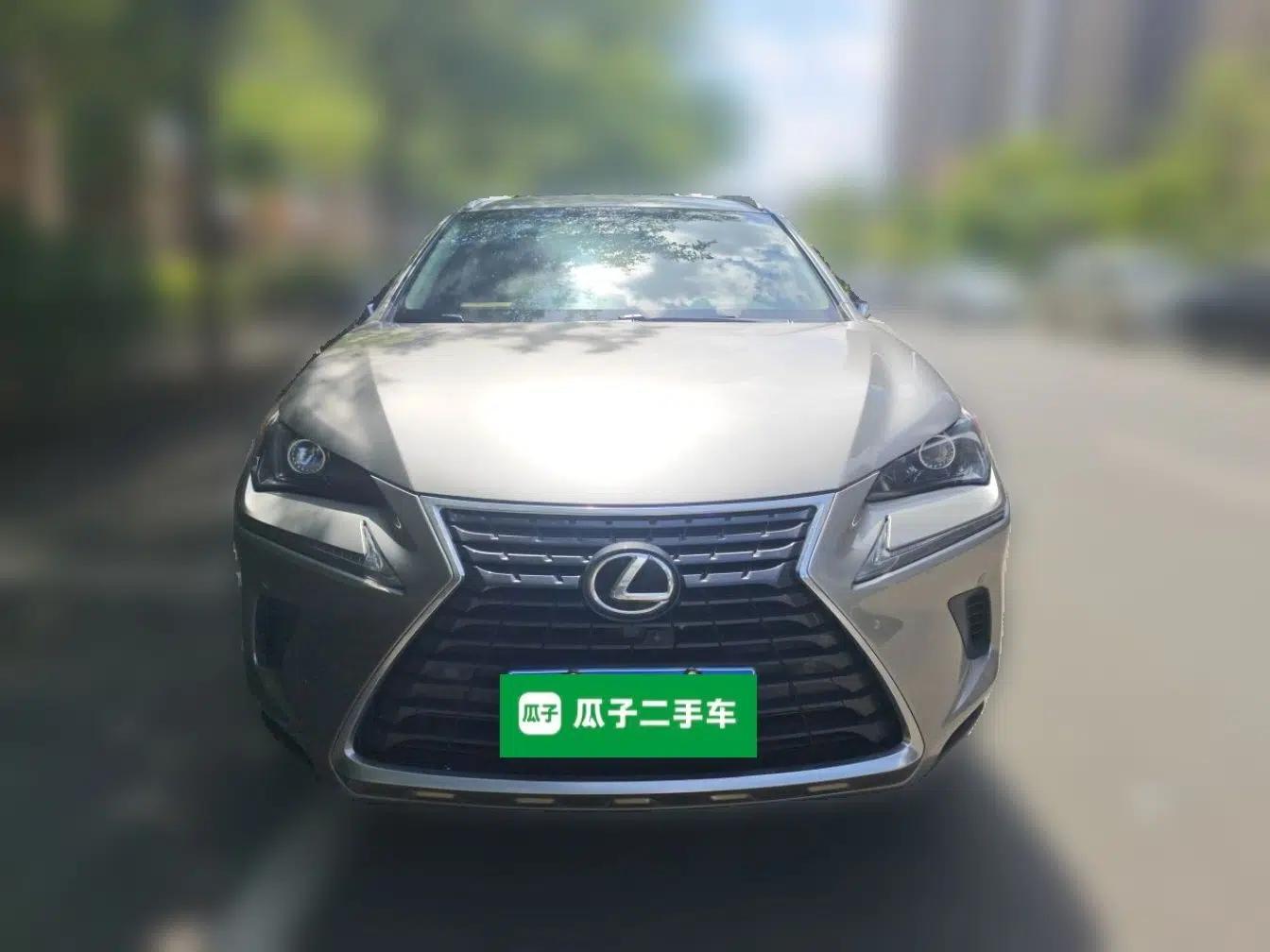 Lexus NX 2018 200 Front-Wheel-Drive X-Trail Version China V Standard — миниатюра 2
