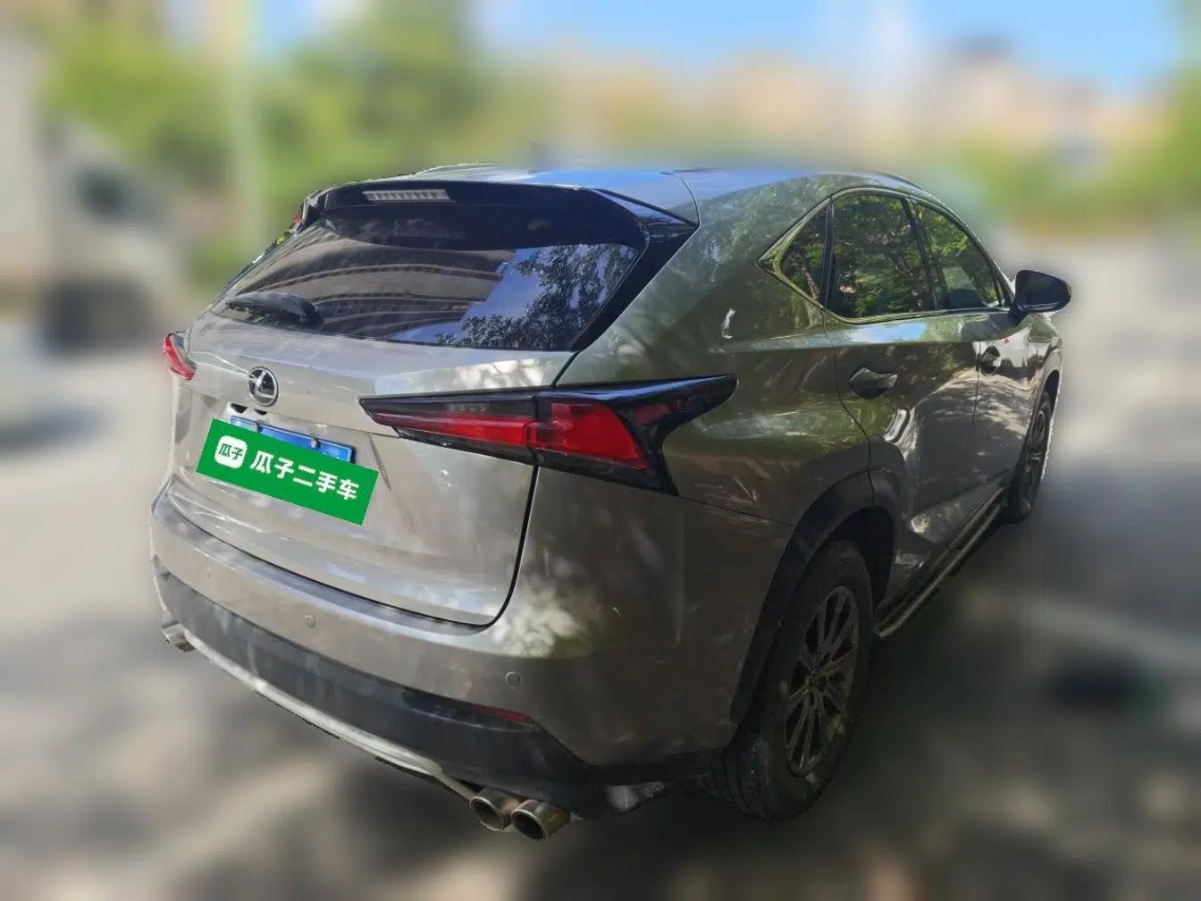 Lexus NX 2018 200 Front-Wheel-Drive X-Trail Version China V Standard — миниатюра 6