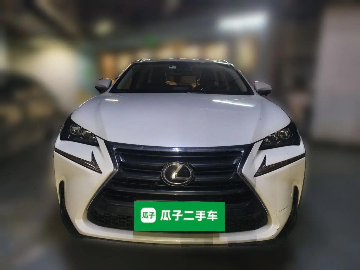 Lexus NX 2016 200 All-Wheel Drive FENGSHANG Version — миниатюра 2