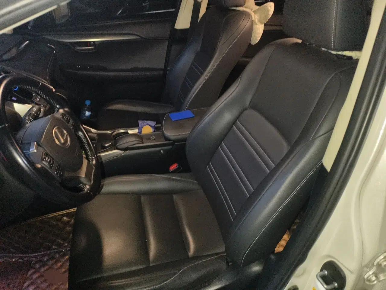 Lexus NX 2016 200 All-Wheel Drive FENGSHANG Version — миниатюра 15