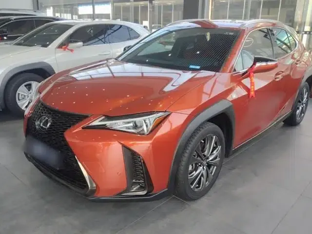Lexus UX 2020 200 F SPORT Version