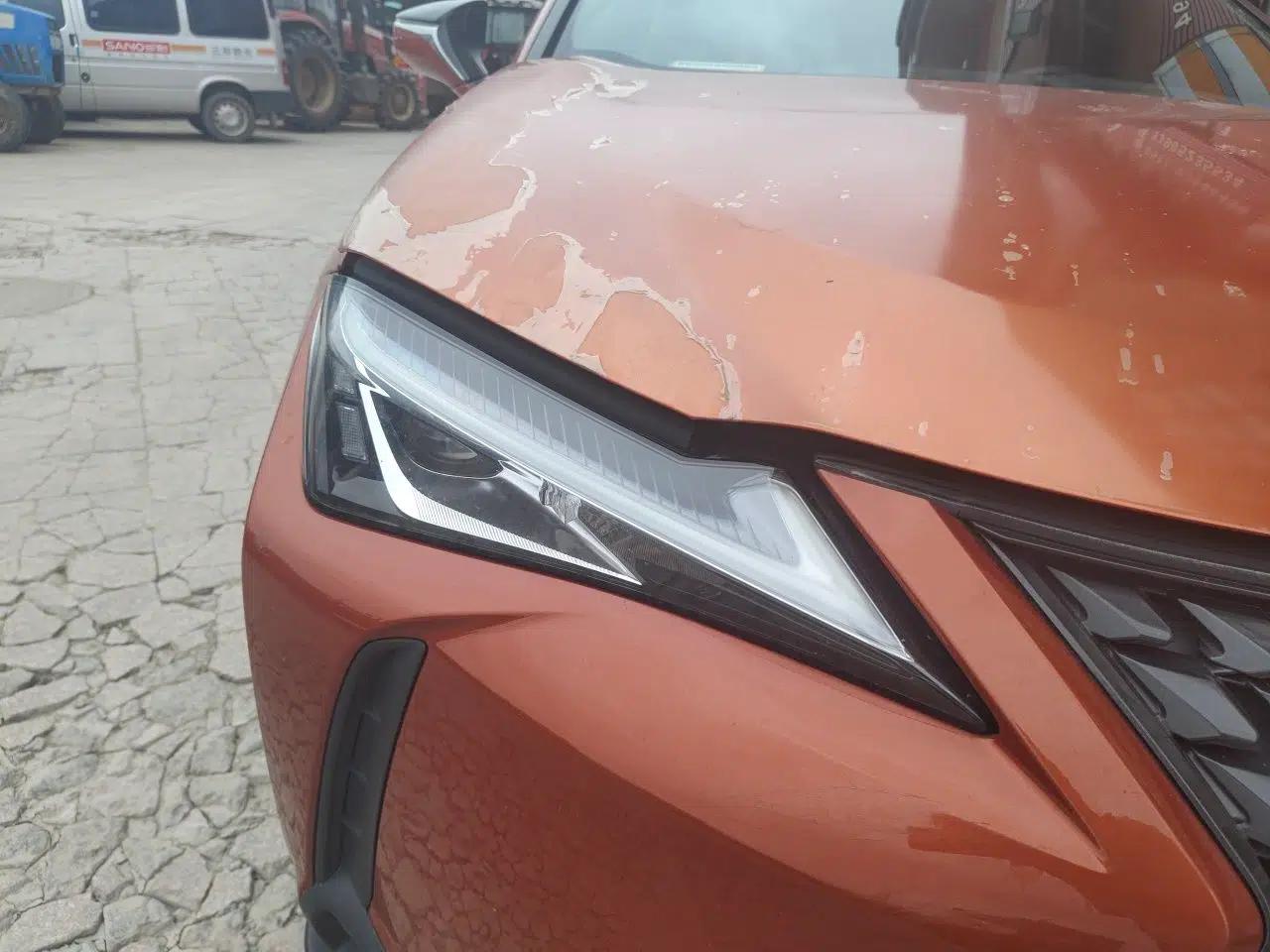 Lexus UX 2020 200 Special Edition — миниатюра 7