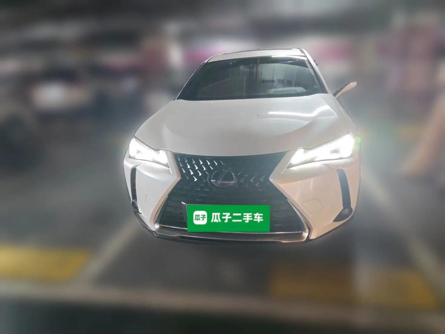 Lexus UX New Energy 2020 300e Pure·Joy Edition — миниатюра 2