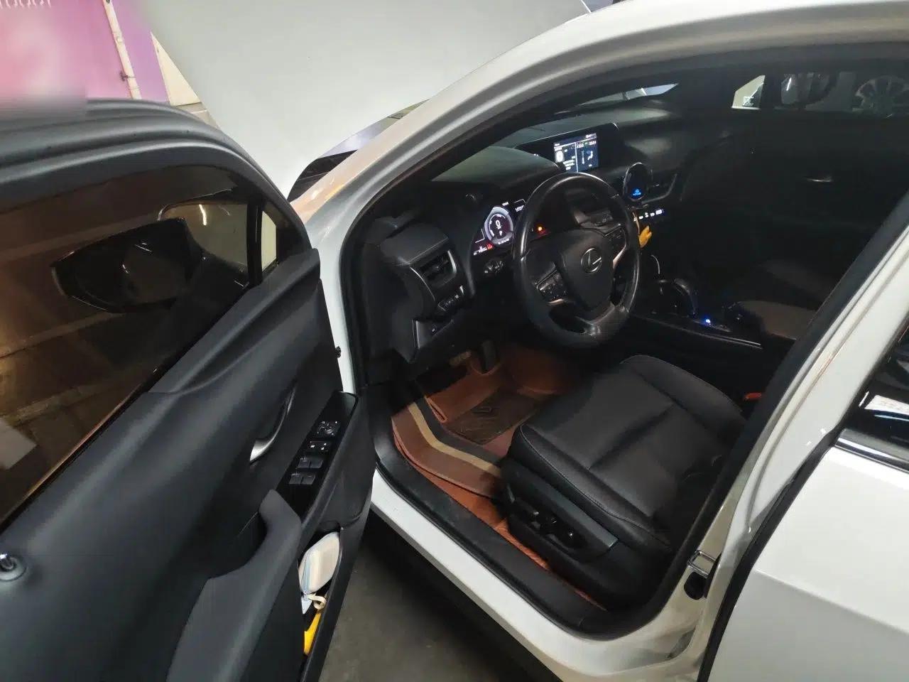 Lexus UX New Energy 2020 300e Pure·Joy Edition — миниатюра 16