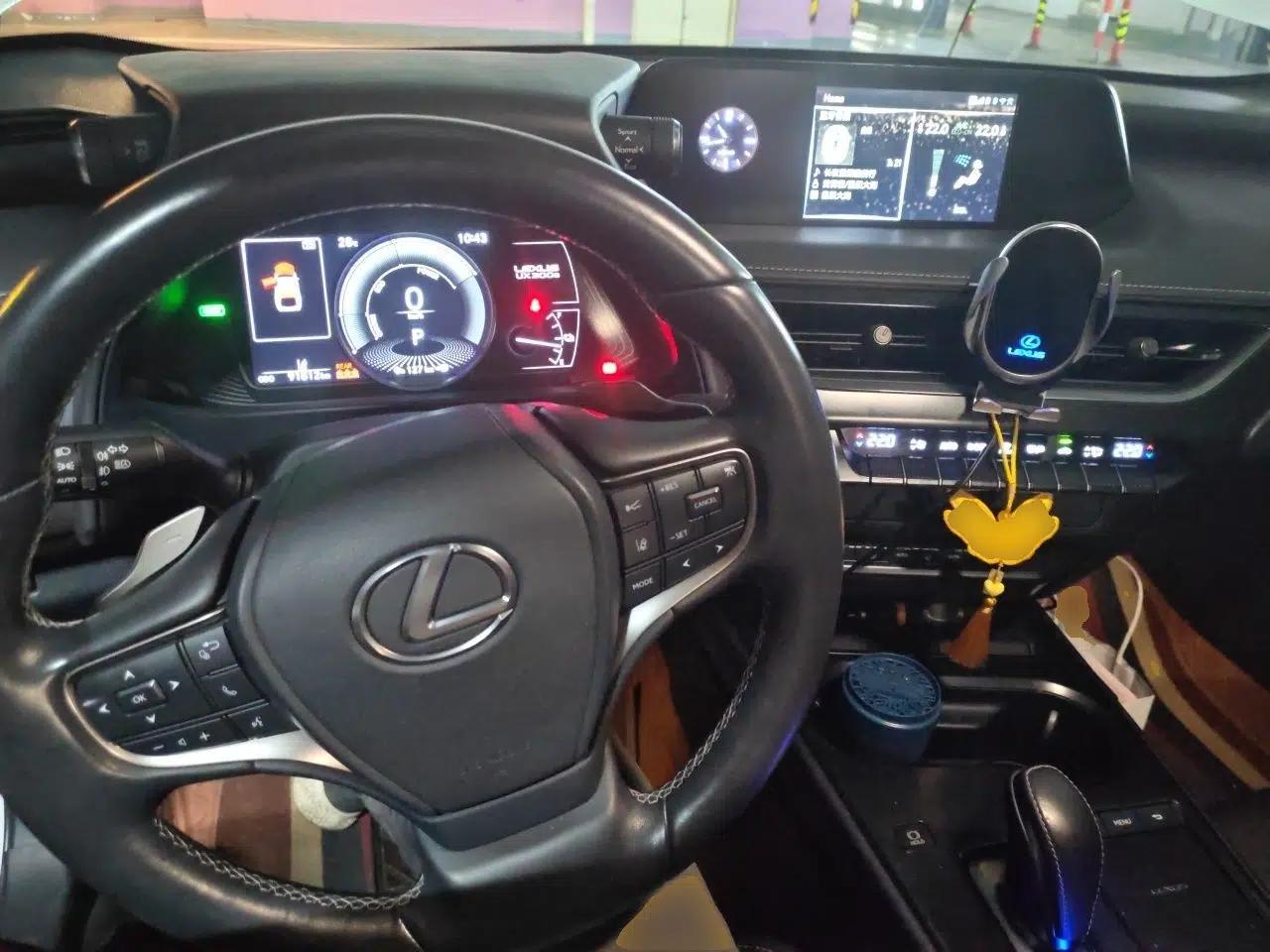 Lexus UX New Energy 2020 300e Pure·Joy Edition — миниатюра 9