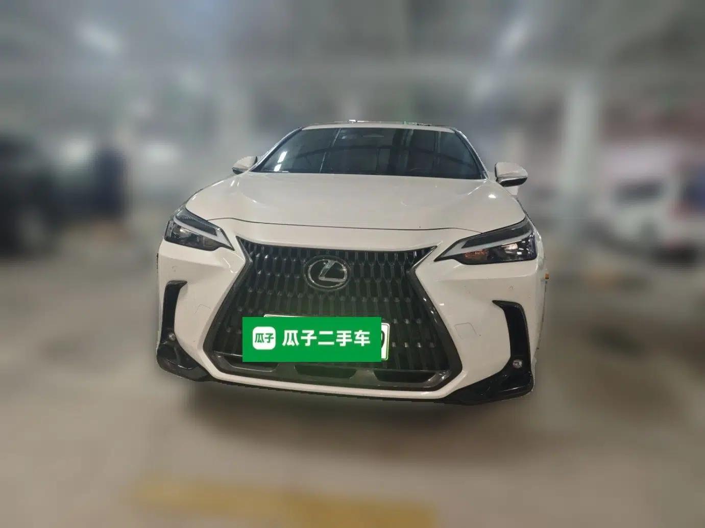 Lexus NX New Energy 2022 400h+ Comfort Edition — миниатюра 2