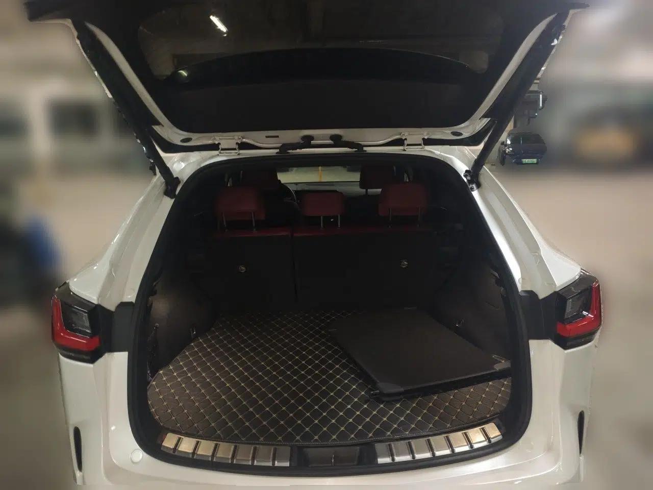 Lexus NX New Energy 2022 400h+ Comfort Edition — миниатюра 19