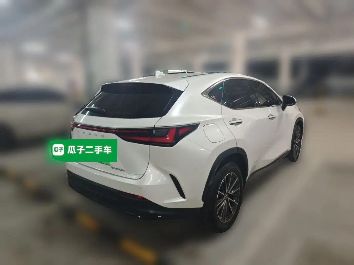 Lexus NX New Energy 2022 400h+ Comfort Edition — миниатюра 6