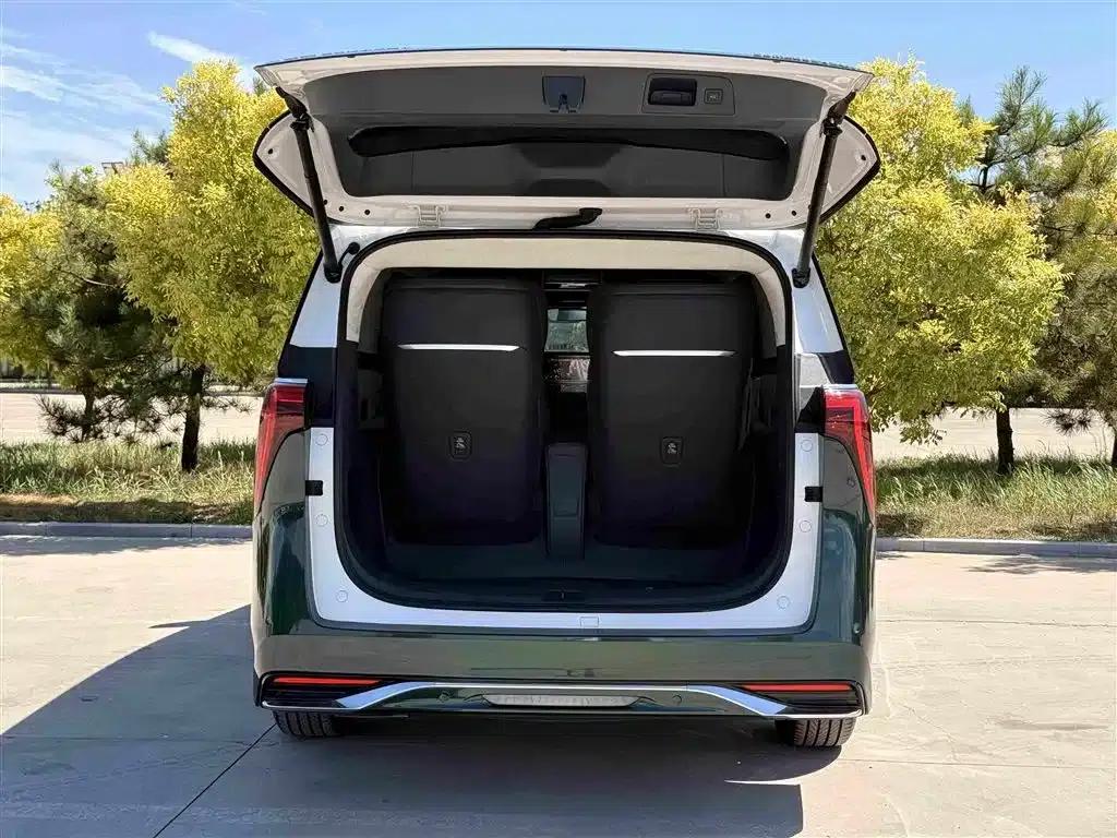 Century 2023 2.0T Four-Seat Private Edition — миниатюра 38