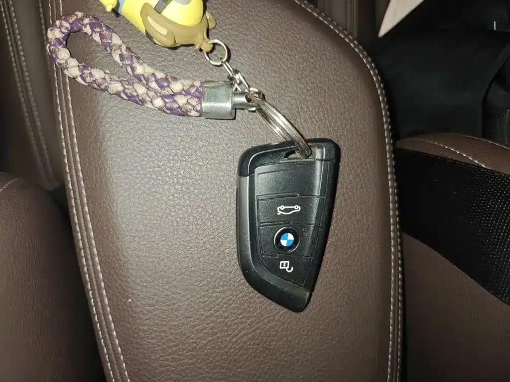 BMW X1 2020 xDrive25Li Premium — миниатюра 9