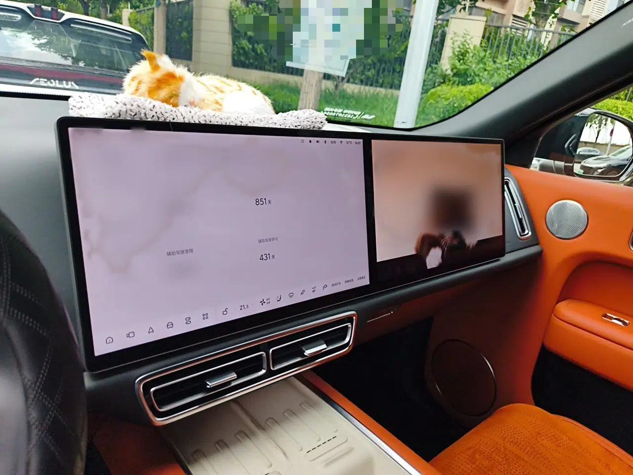 Li Auto L8 2023 Pro Model — миниатюра 12