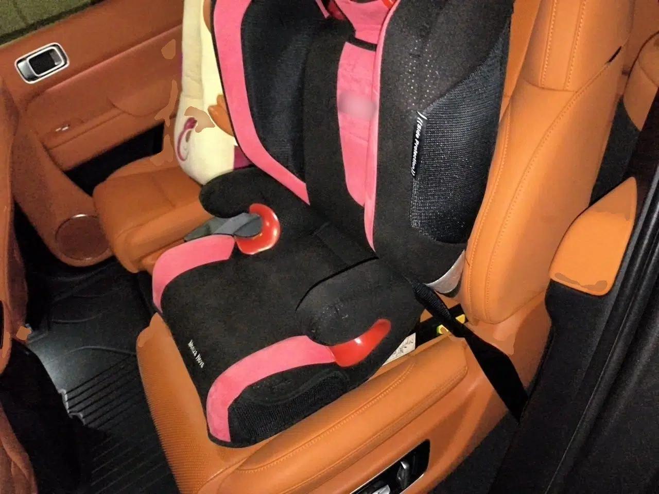 Li Auto L8 2023 Pro Model — миниатюра 17