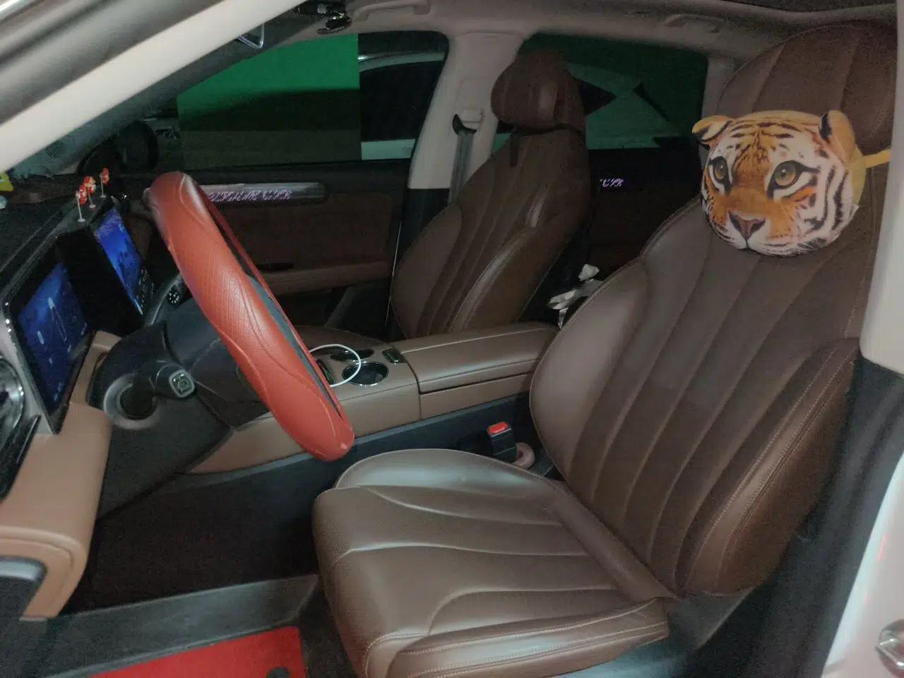 Leapmotor C11 2021 Deluxe Edition — миниатюра 15