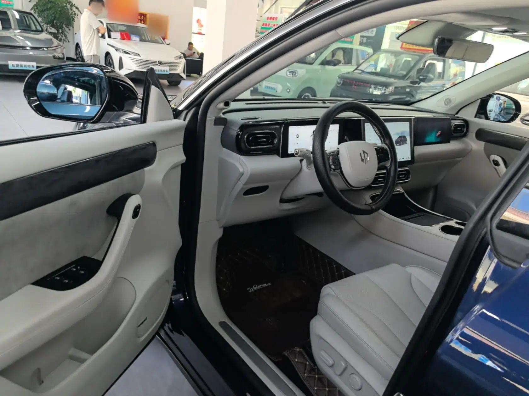 Leapmotor C11 2021 Executive Edition 610 — миниатюра 23