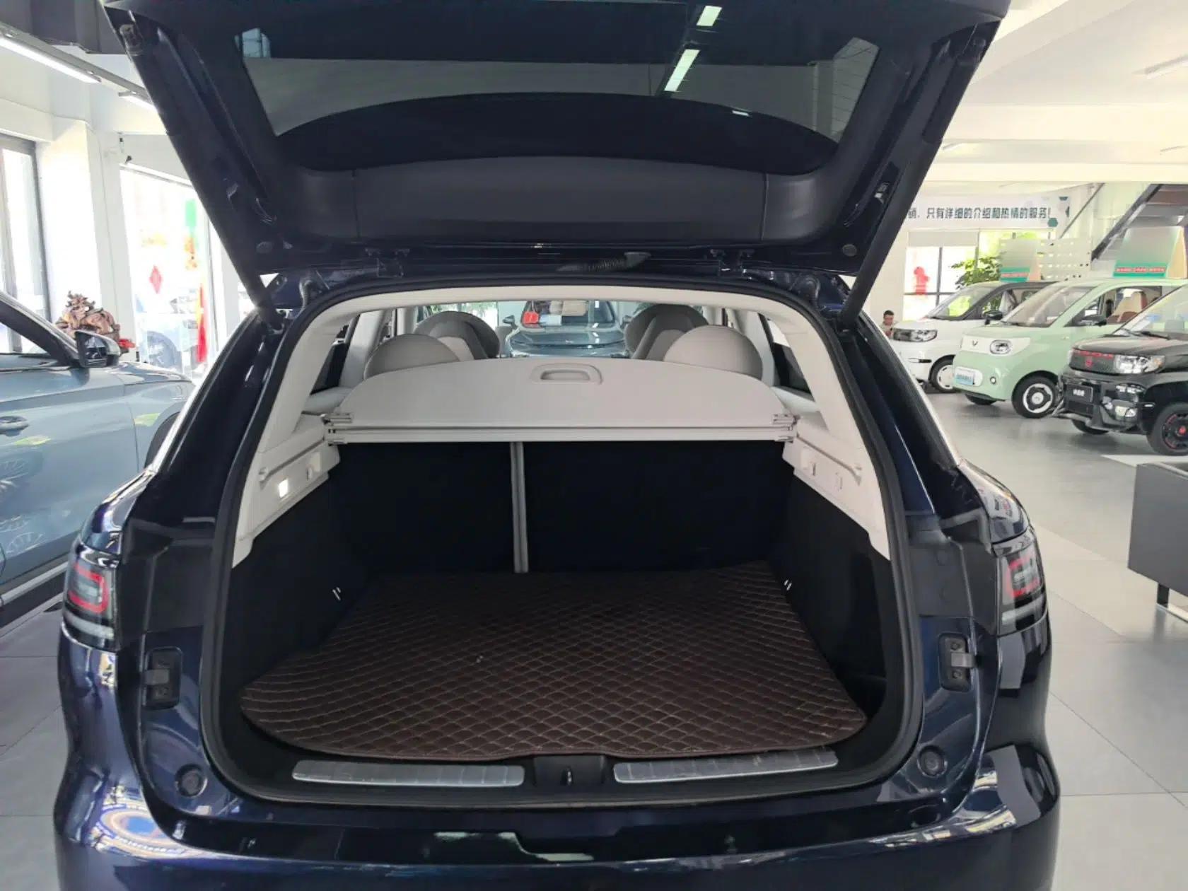 Leapmotor C11 2021 Executive Edition 610 — миниатюра 27