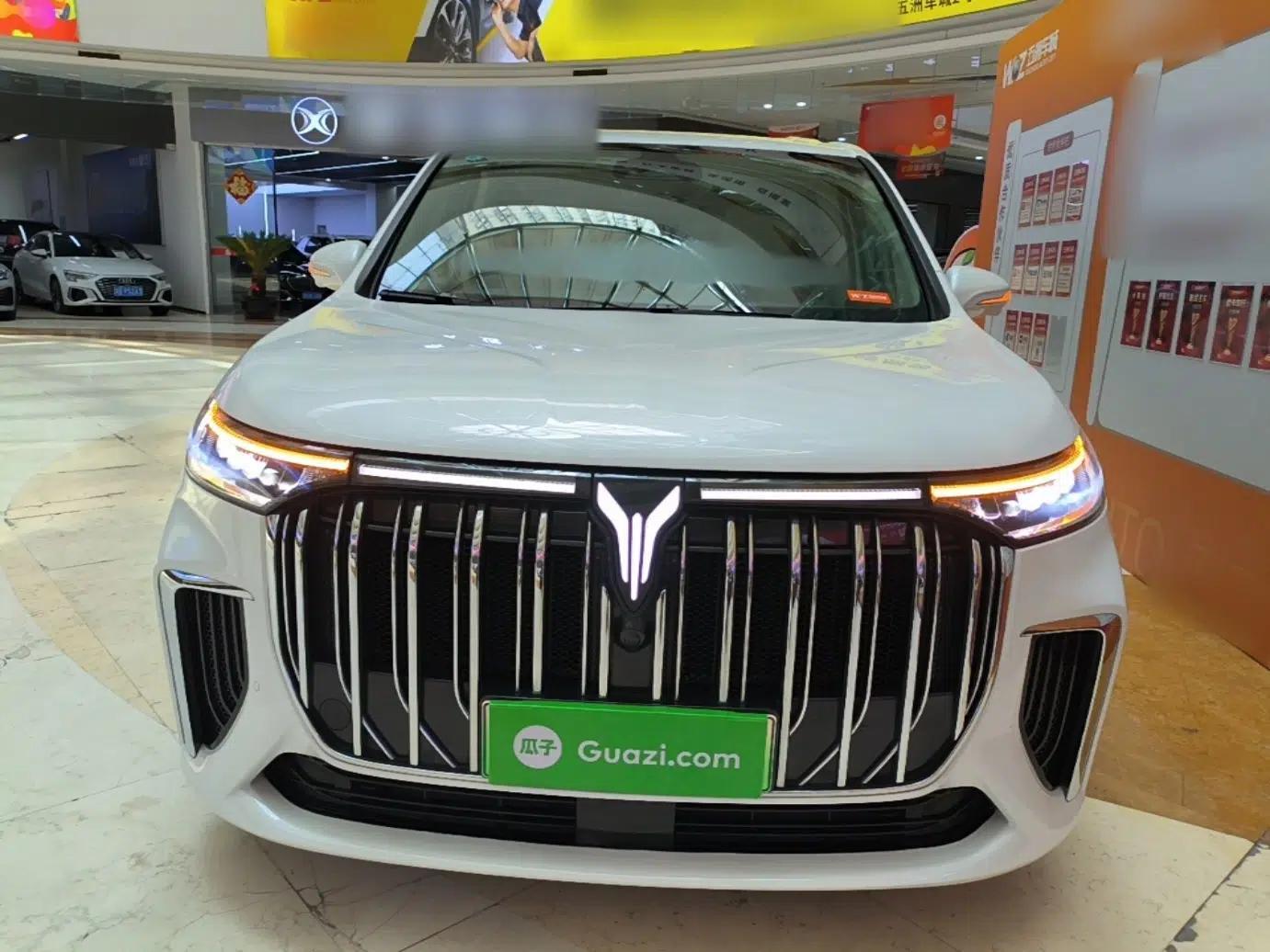 VOYAH Dream 2022 Low-Carbon Edition Dream+ Smart Enjoyment Package — миниатюра 2