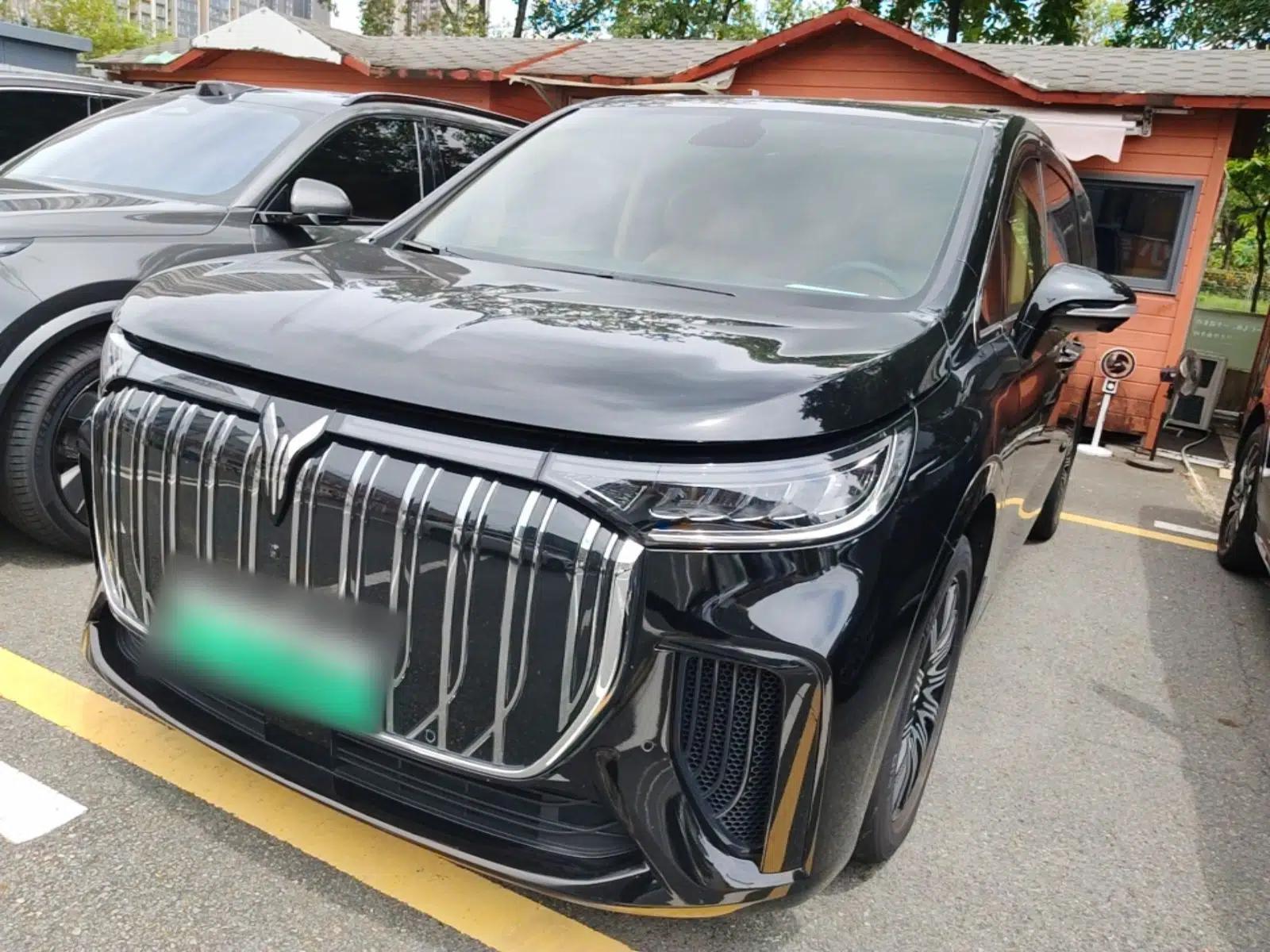 VOYAH Dream 2025 EV Long-range Century Edition — миниатюра 1