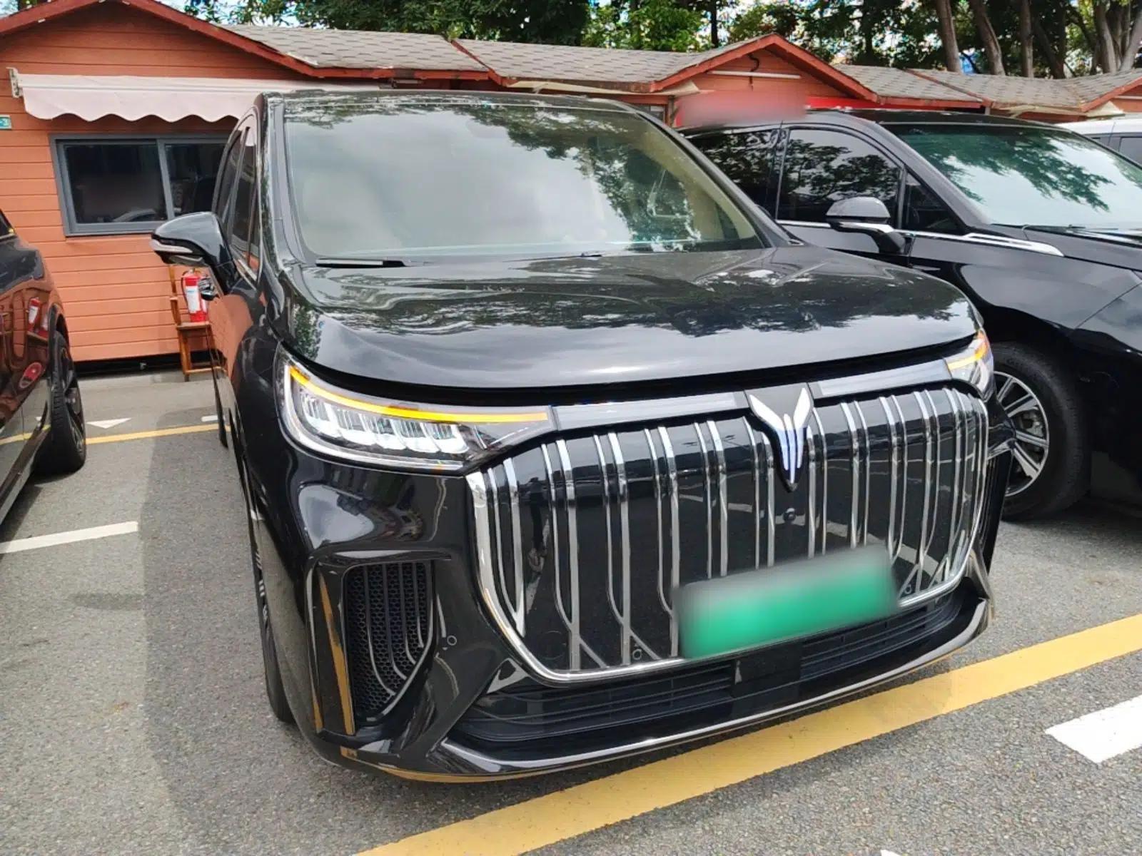 VOYAH Dream 2025 EV Long-range Century Edition — миниатюра 3