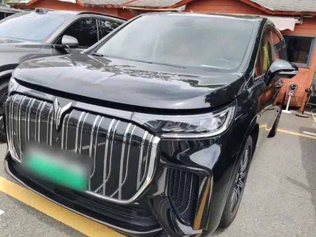 VOYAH Dream 2025 EV Long-range Century Edition
