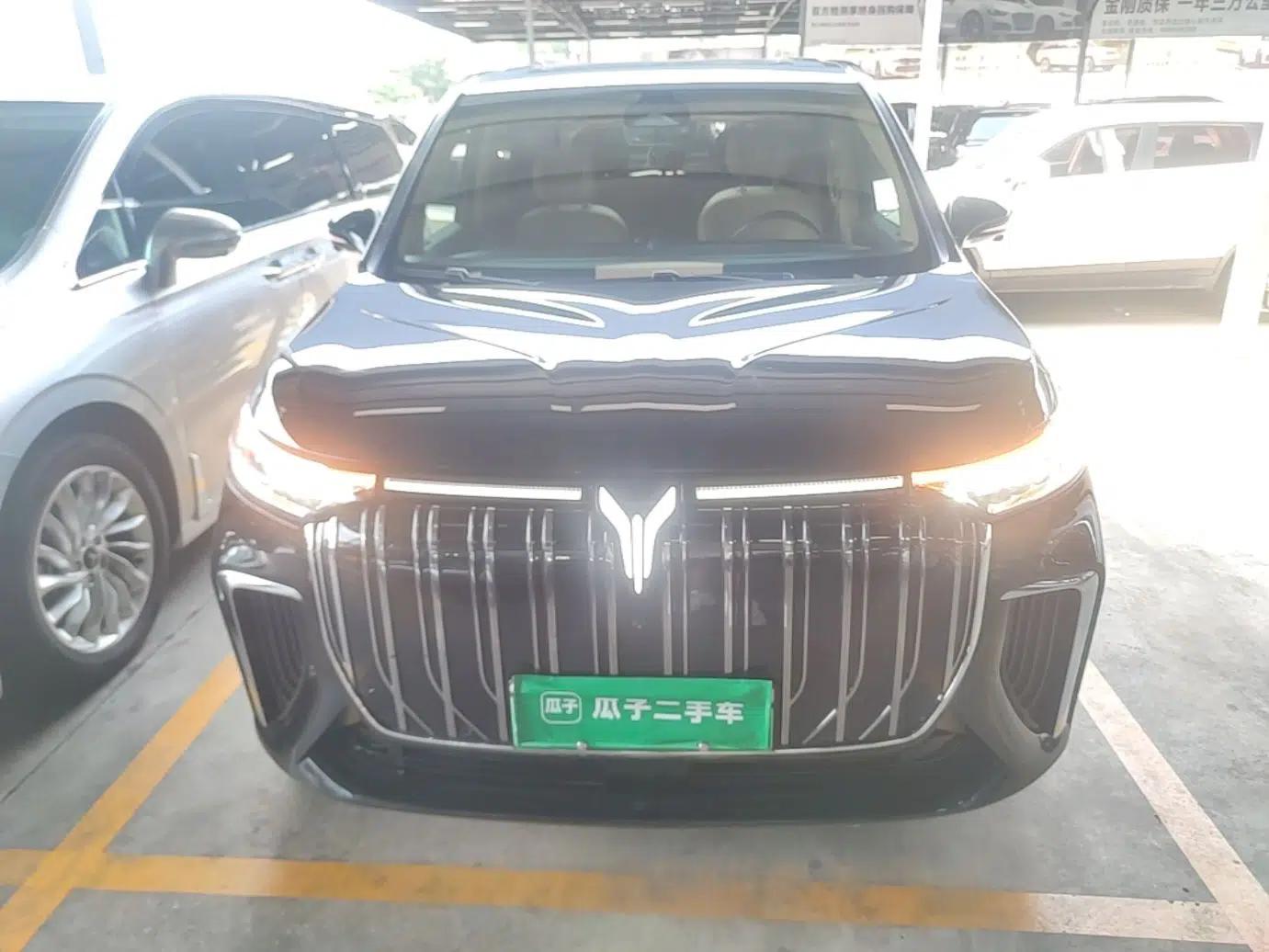 VOYAH Dream 2022 0-Emission Version Plus Intelligent Driving Package 475 km — миниатюра 2