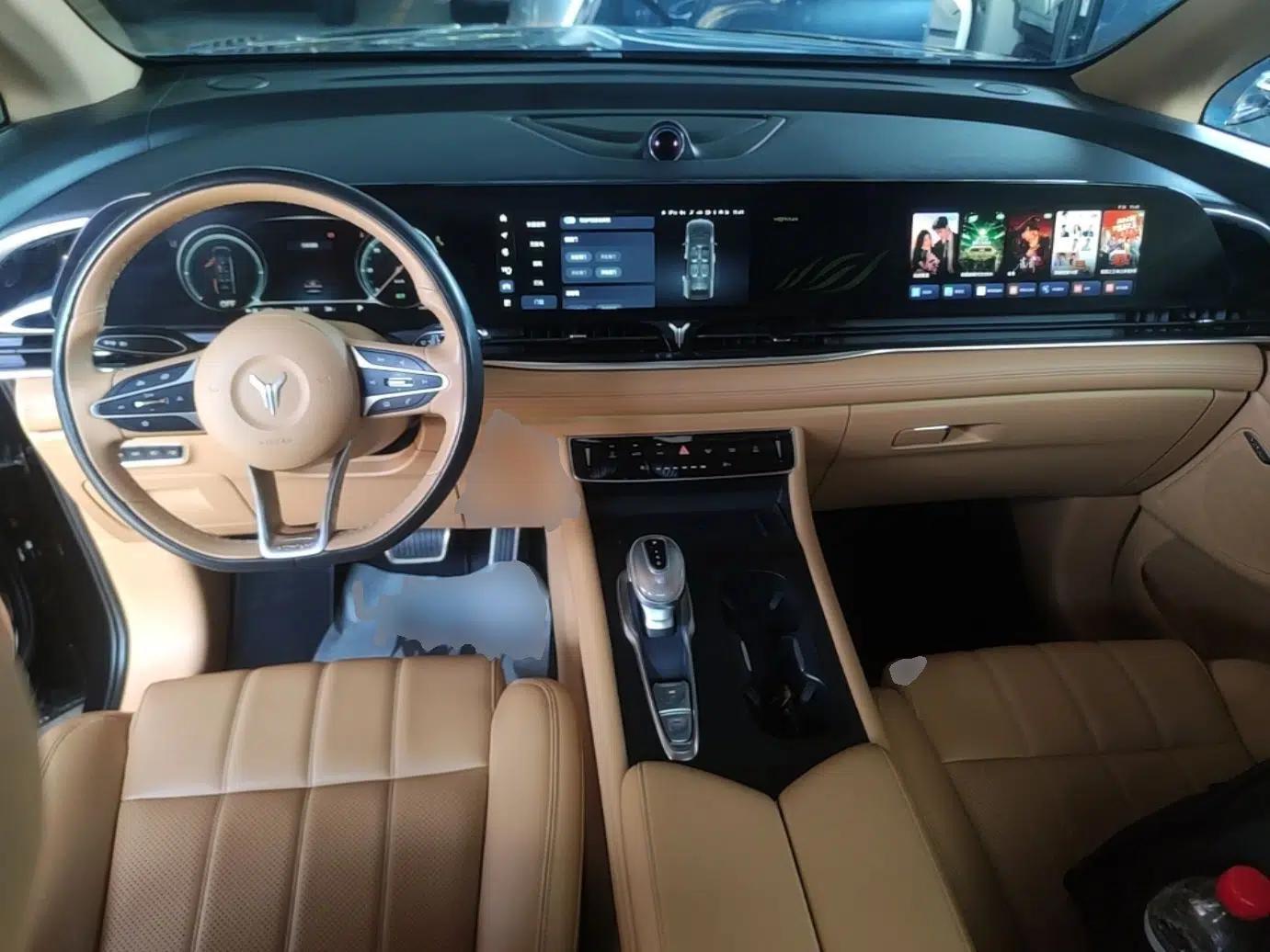 VOYAH Dream 2022 0-Emission Version Plus Intelligent Driving Package 475 km — миниатюра 12
