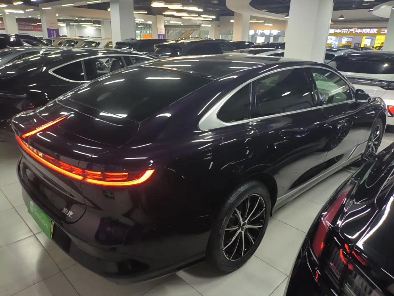 VOYAH PASSION 2024 PHEV Four-Wheel Drive Ultra-Long Range Executive Edition — миниатюра 6