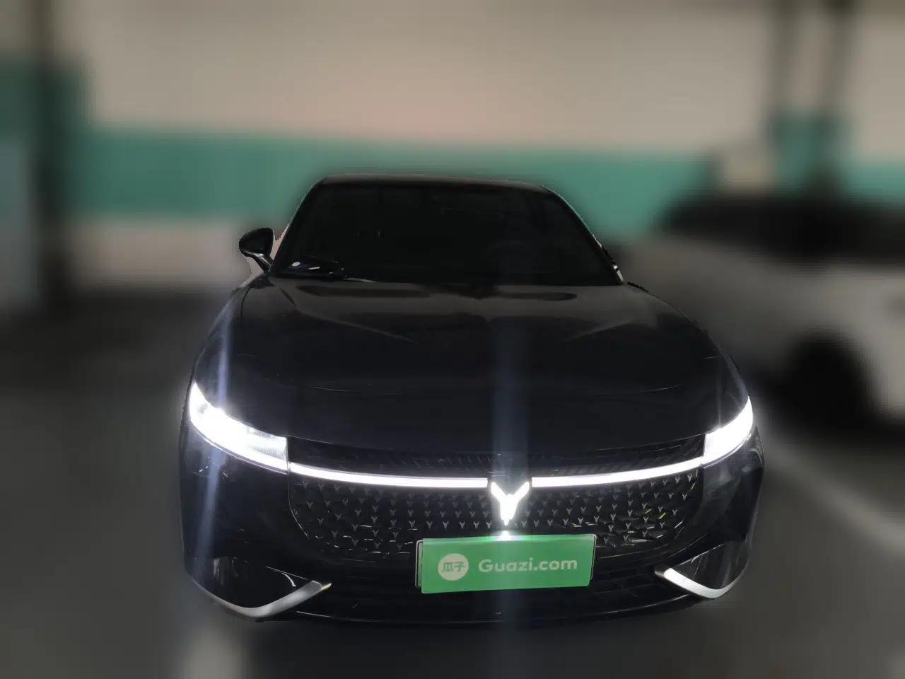 VOYAH PASSION 2024 PHEV Four-Wheel Drive Ultra-Long Range Executive Edition — миниатюра 2