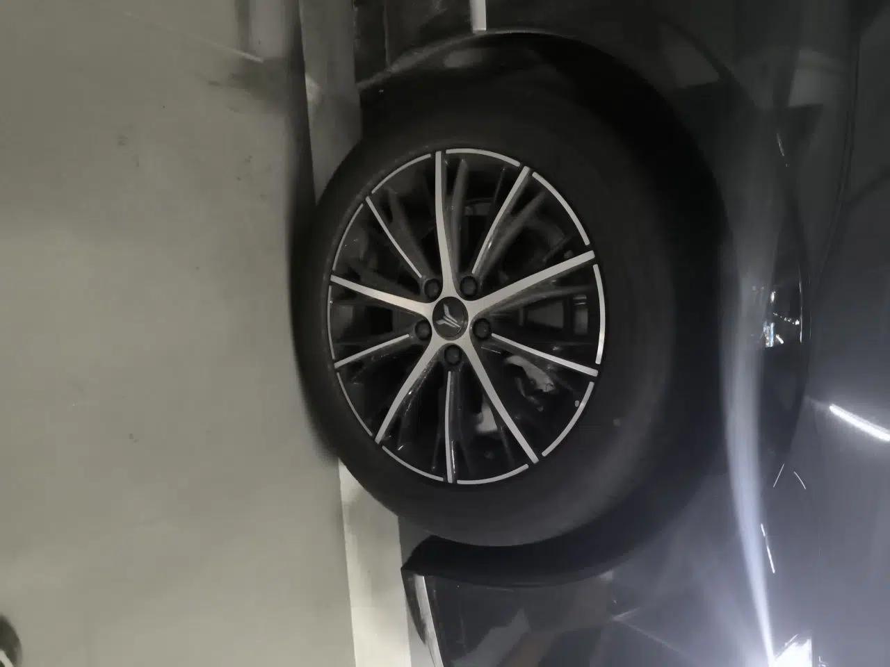 VOYAH PASSION 2024 PHEV Four-Wheel Drive Ultra-Long Range Executive Edition — миниатюра 8
