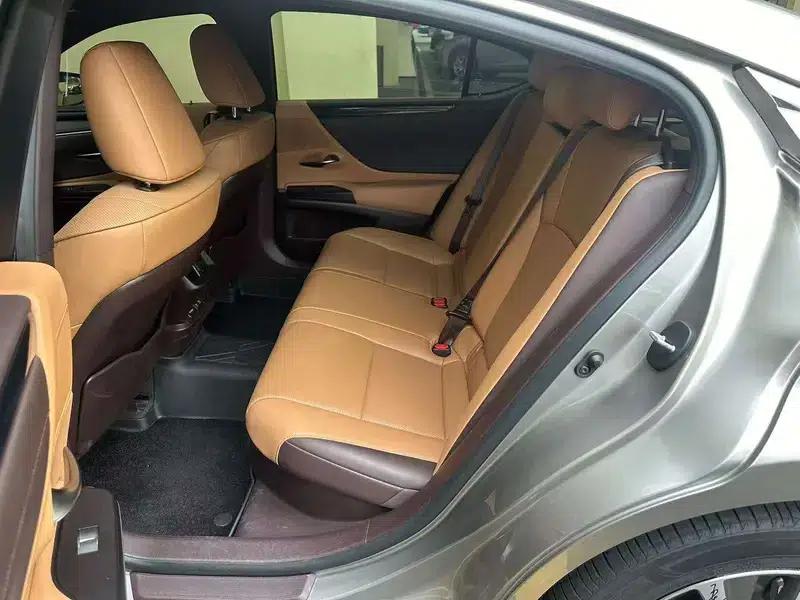 Lexus ES 2020 300h Premium Edition (China VI Emission Standard) — миниатюра 22