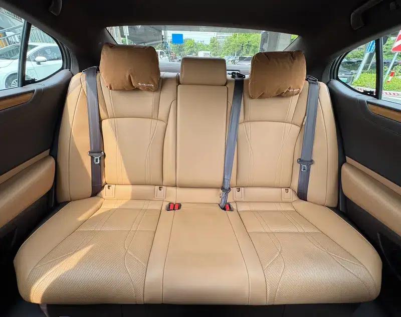 Lexus ES 2019 300h Millionth Anniversary Limited Edition (China VI Emission Standard) — миниатюра 18