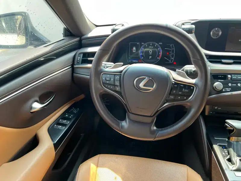 Lexus ES 2020 200 Premium Edition (China VI Emission Standard) — миниатюра 14