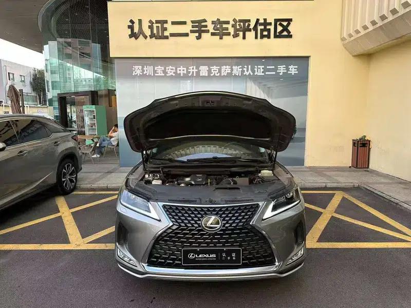 Lexus RX 2020 Facelift 300 2WD Elite Edition — миниатюра 14