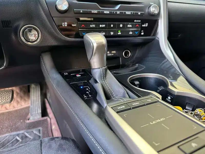 Lexus RX 2020 Facelift 300 2WD Elite Edition — миниатюра 19