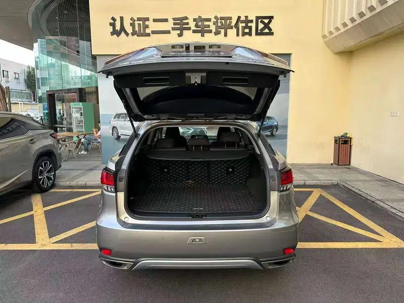 Lexus RX 2020 Facelift 300 2WD Elite Edition — миниатюра 7