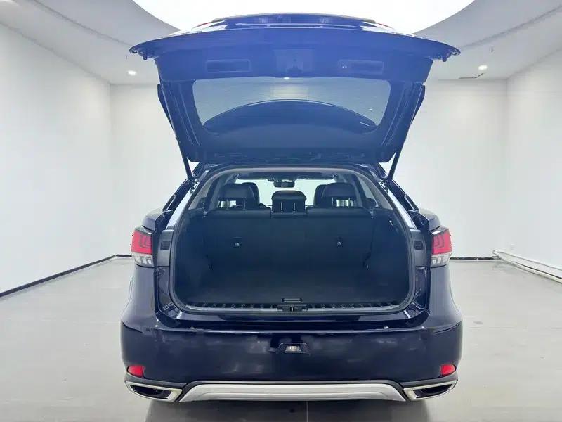 Lexus RX 2020 Facelift 300 2WD Elite Edition — миниатюра 20