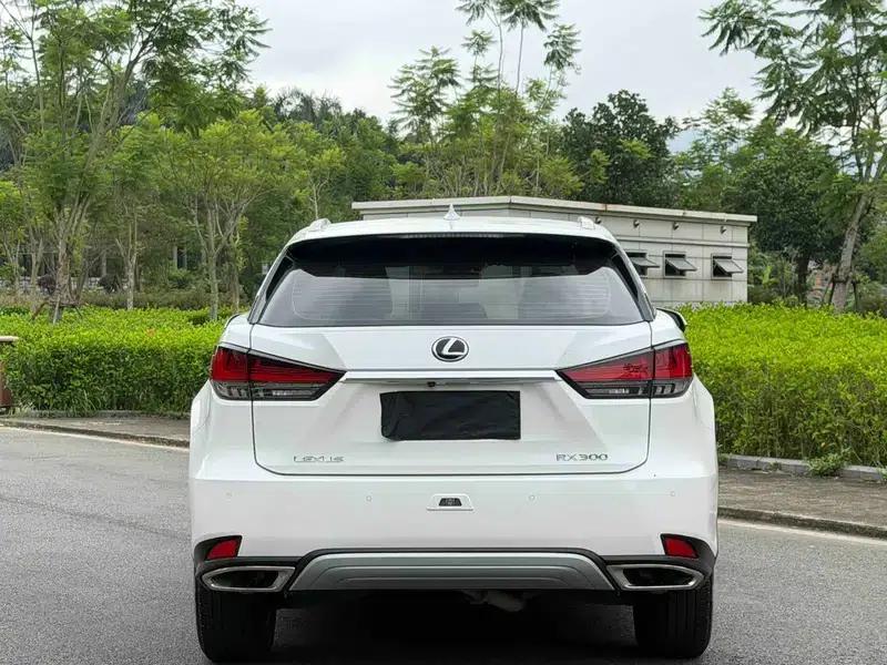 Lexus RX 2020 300 2WD Comfort Edition (China VI Emission Standard) — миниатюра 5