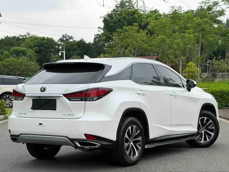Lexus RX 2020 300 2WD Comfort Edition (China VI Emission Standard) — миниатюра 6