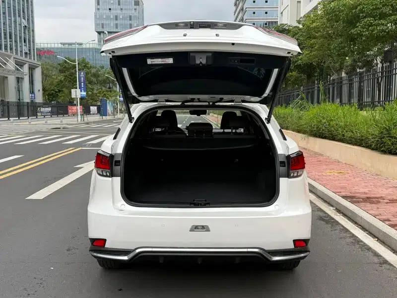 Lexus RX 2020 450h AWD Premium Edition — миниатюра 22