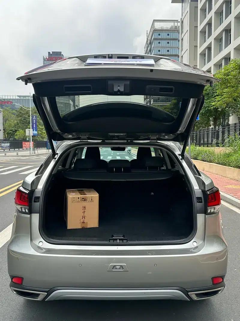 Lexus RX 2020 300 2WD Elite Edition (China V Emission Standard) — миниатюра 10